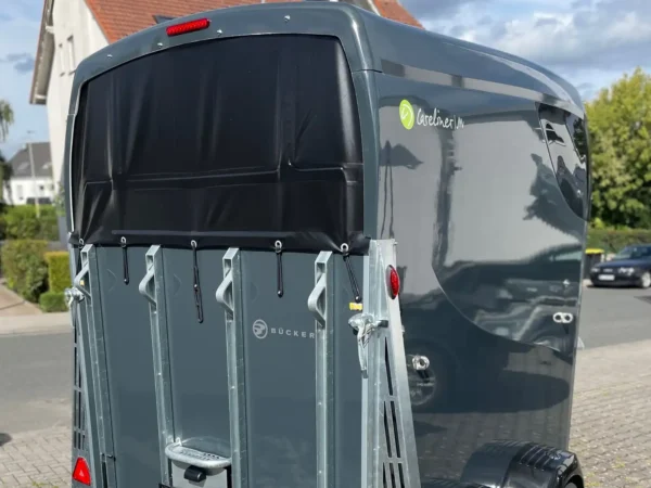 Van 2 chevaux Careliner M Grey – Image 9